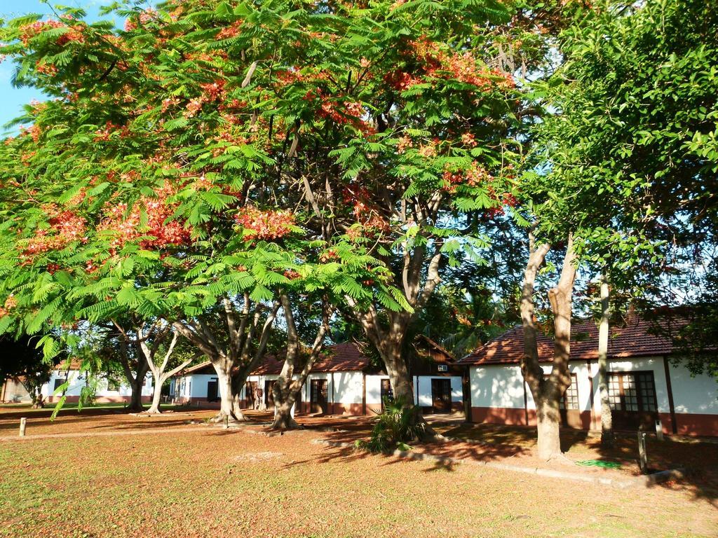 Pousada Fazenda Xaraes Todos os Santos Exterior foto