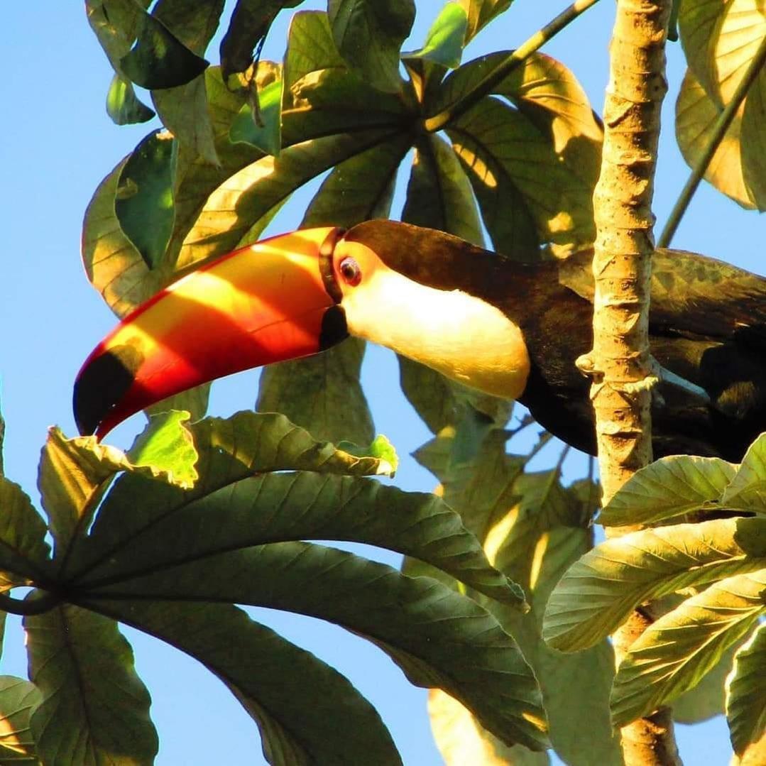 Pousada Fazenda Xaraes Todos os Santos Exterior foto